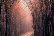 为什么会存在美团核销第三方接口API服务商